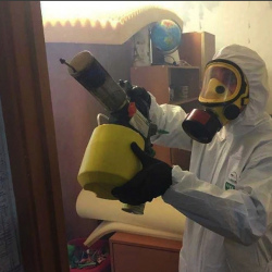 Уничтожение клопов в квартире. Яранск